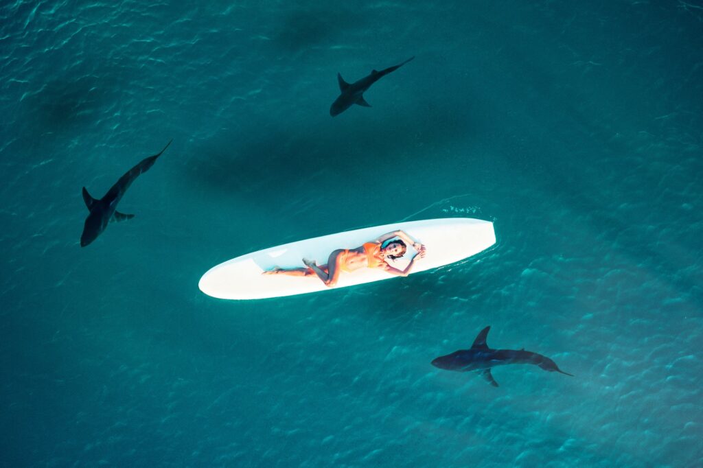 Girl on the Ocean with sharks